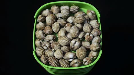 porción de mariscos de calamar crudo en un recipiente retirado para revelar berberechos