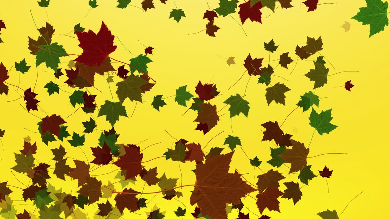 날아다니는 가을 잎의 배경