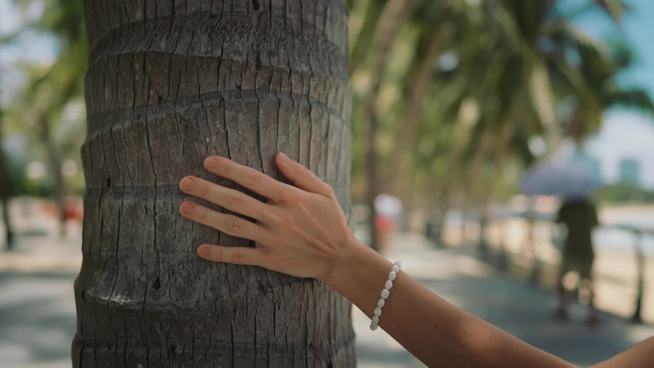 Woman Touching Palm Tree Trunk on Tropical Beach Promenade