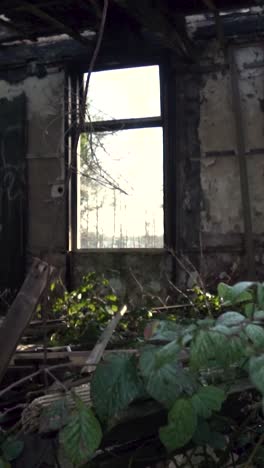 abandoned interior of a ruined building with nature reclaiming