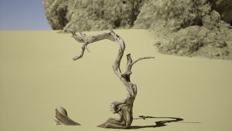 unique twisted branch stands alone in a vast desert landscape under bright sun
