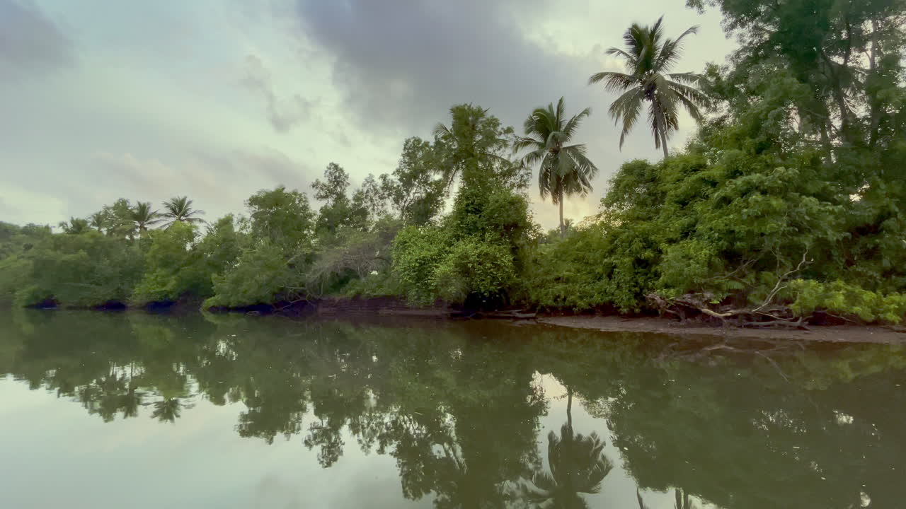 árboles que se reflejan en el río saleri goa india 4k