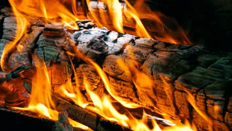 el fondo de un fuego, un tronco se quema