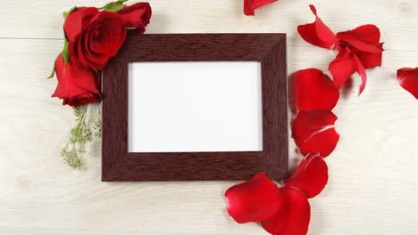 Red-rose-petal-falling-on-the-photo-frame-4k