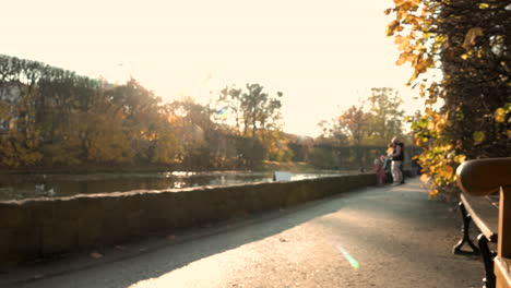 turistas disfrutando del paisaje cerca del estanque en el parque oliwski durante el otoño - tiro estático