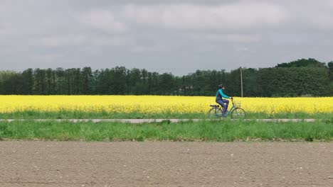 side view pullback of man cycling on bike path with yellow field behind