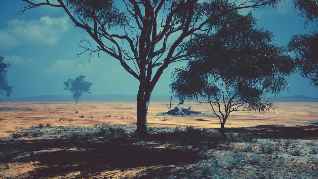 아카시아 나무 가 있는 아프리카 풍경