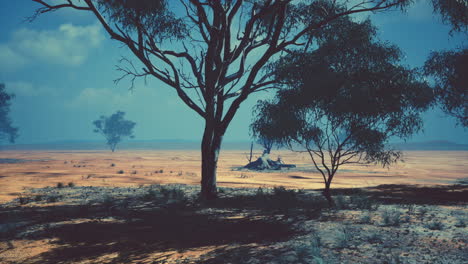 Paisaje-Africano-Con-árboles-De-Acacia