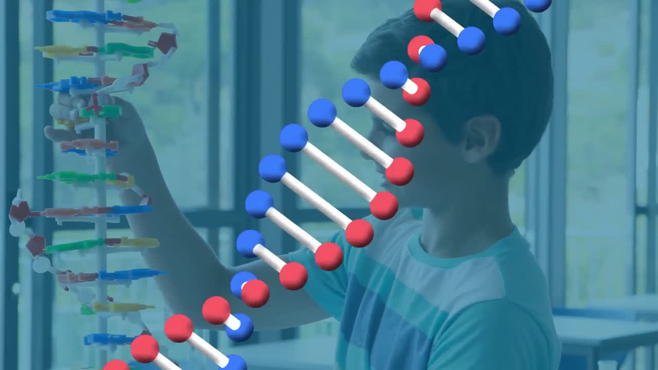 animación de una cadena de adn sobre un escolar caucásico con un modelo