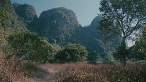 el exuberante sendero y las escarpadas colinas del parque nacional de cat ba