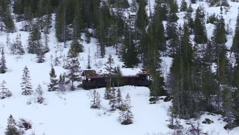 Wooden-Cabin-And-Green-Pine-Trees-In-The-Mountain-During-Winter