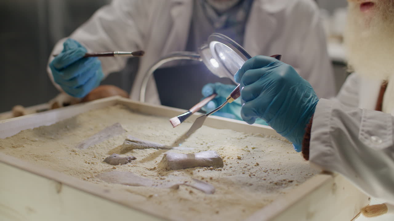 Close-Up of Two Archaeologists Using Tools to Excavate Ancient Bones