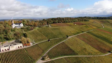 Weinberg-Im-Süden-Deutschlands