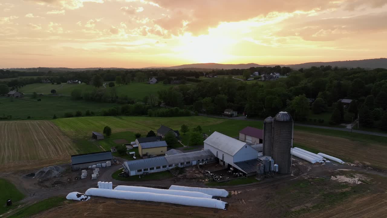 Hay bales covered with plastic foils during olden sunrise in american farmstead. Aerial descend wide shot. House with barn and agricultural farm fields.
