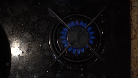 Primer-Plano-De-Fuego-Azul-De-La-Estufa-De-La-Cocina-Doméstica.-Cocina-De-Gas-Con-Llamas-Ardientes-De-Gas-Propano.-Concepto-De-Economía-Y-Recursos-Industriales