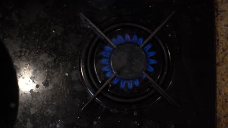 closeup shot of blue fire from domestic kitchen stove top. gas cooker with burning flames of propane gas. industrial resources and economy concept