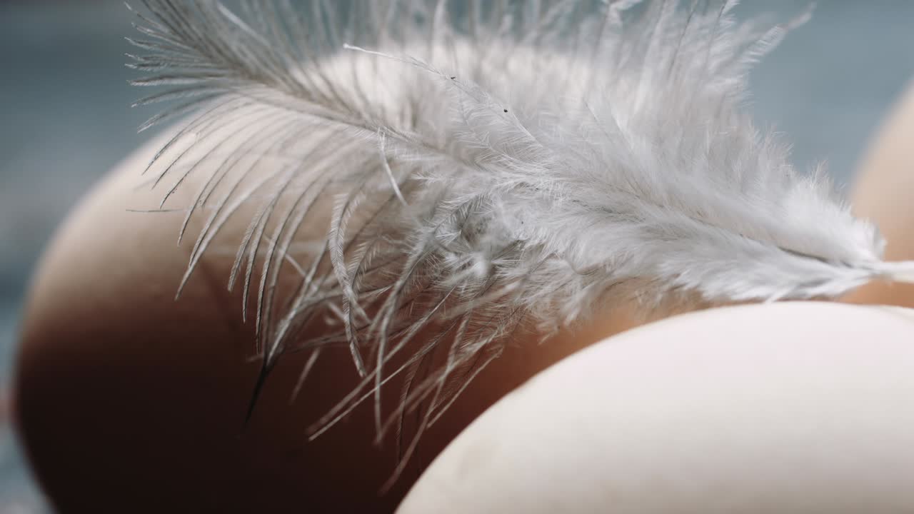 달은 신선하고, 집에서 만들어지고, 고기입니다.