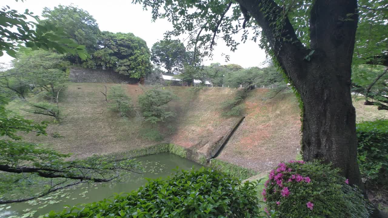 tokyo chidorigafuchi temprano en la mañana de 2022