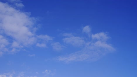 Two-dove-birds-flying-against-blue-sky