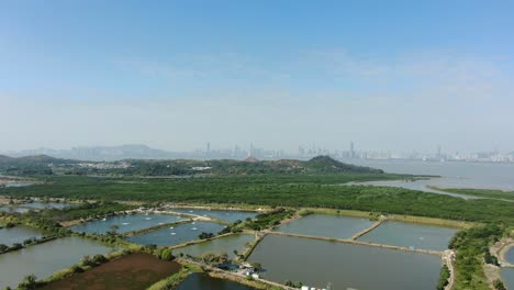 Mai-Po-Nature-Reserve-and-wetlands,-Hong-Kong,-Aerial-view