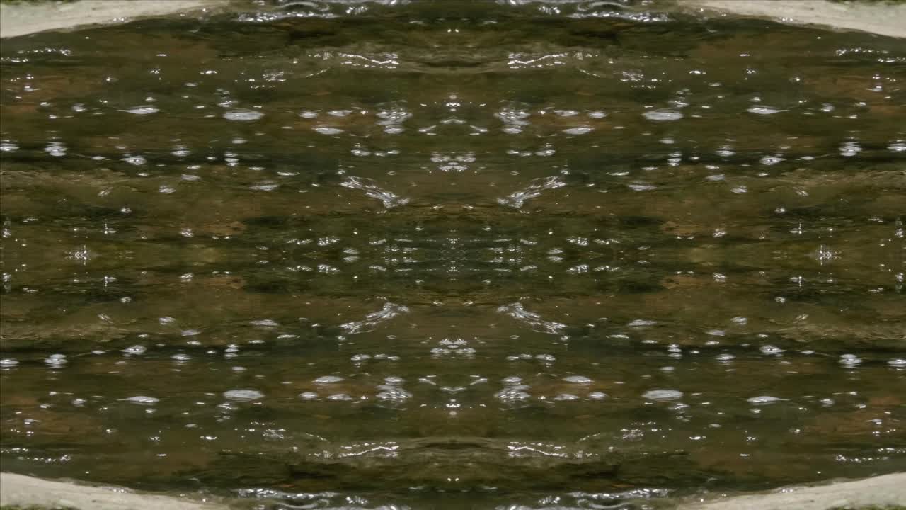 caleidoscopio de tomas de la naturaleza, wissahickon creek