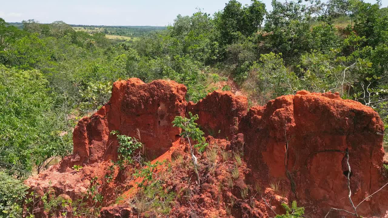 Erosione e ruscellamento che minacciano la vegetazione degradata in una riserva naturale del Cerrado, evidenziando la distruzione ambientale e il degrado del suolo in Brasile