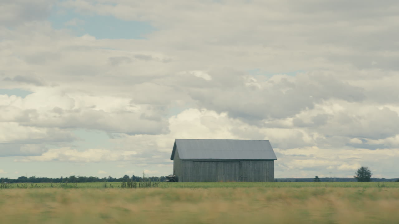 Passing an old barn in the grain field
