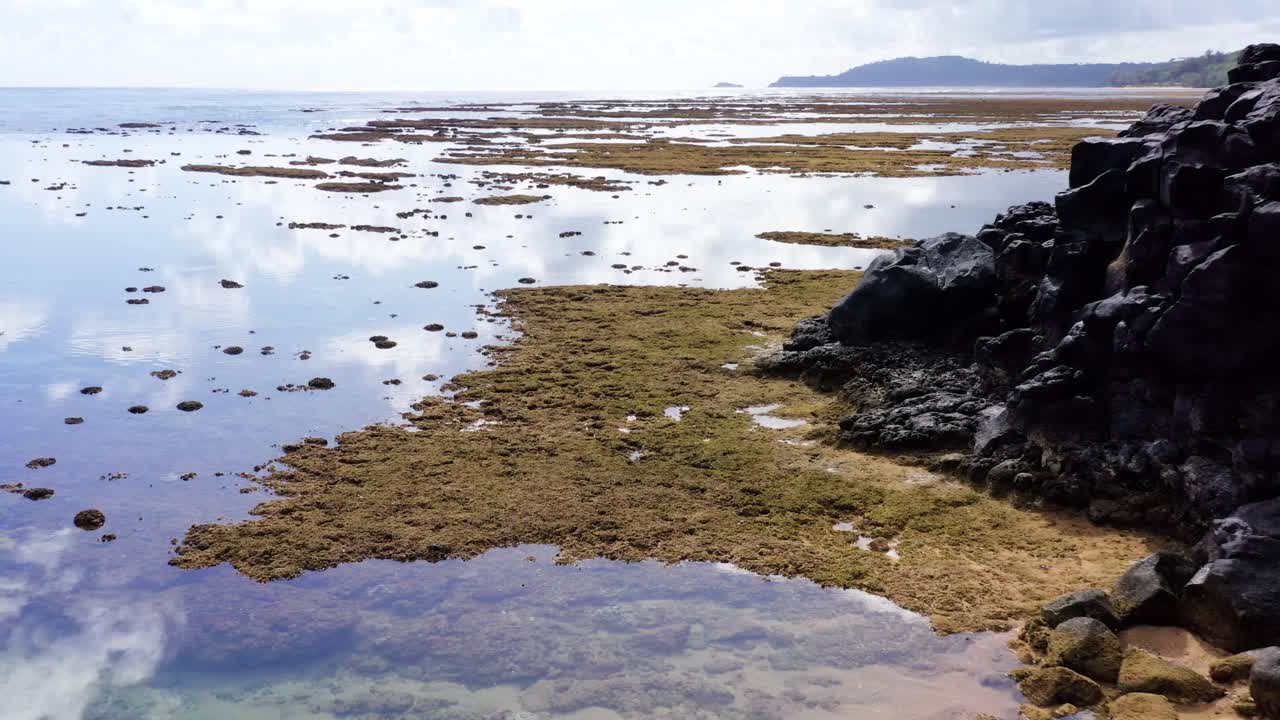 4K drone clip of Sea Lodge Beach at low tide with glassy water reflecting clouds and palm trees. Clear reef patterns and black lava rock visible below the surface on Kauai’s North Shore