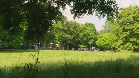 lush and green city park in germany