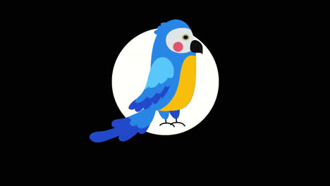 blue and yellow parrot illustration