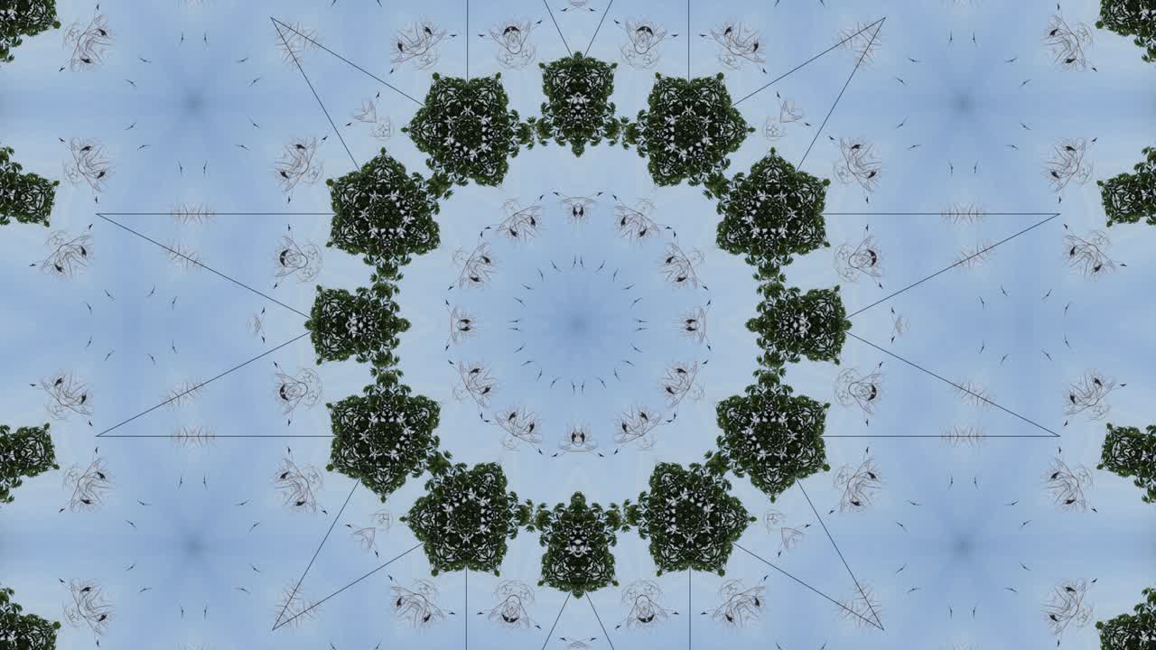 칼레도스코프: 파란 하늘에서 날아다니는 새, 자연 추상적인 배경