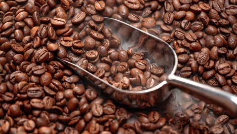 close up of seeds of coffee. fragrant coffee beans are roasted smoke comes from coffee beans.