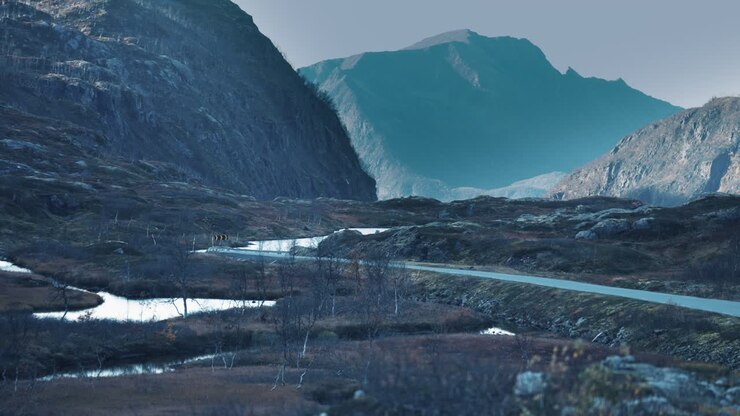 Una strada stretta che si snoda attraverso la tundra