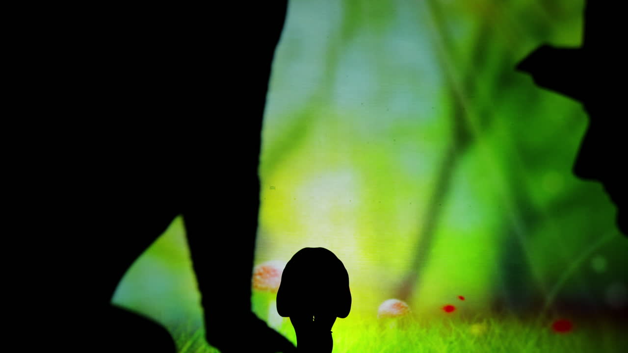 Shadows in a whimsical forest