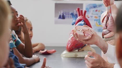 diverse male teacher and happy schoolchildren studying model of human body in biology class