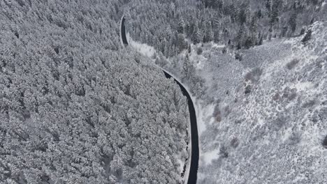 Winter-Landscape-of-Road-in-Snow-Frost-Covered-Trees-in-Utah-Mountains