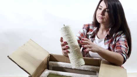 muebles de condominio para gatos casa de mascotas. desenvase nuevo piso a techo árbol de gatos.