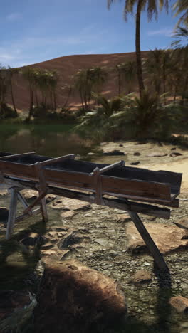 a wooden boat sitting on a sandy shore of an oasis in the desert