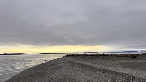 Wide-handheld-shot-of-walruses-during-an-expedition-along-the-north-coast-of-Svalbard-in-norway-at-golden-hour-with-reflecting-water-during-an-adventurous-travel