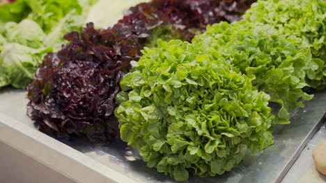 Fresh-oak-lettuce-for-sale-at-a-stall-in-the-Central-Market-of-Valencia,-Spain