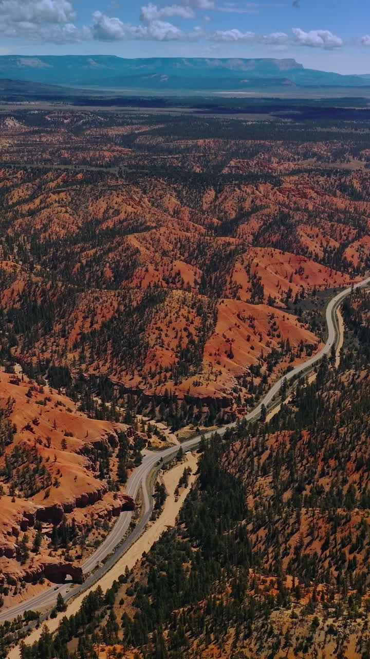 Stunning scenery of beautiful mountains grown with pine trees. Long road through the hills in Arches canyon, Utah, United States. Vertical video