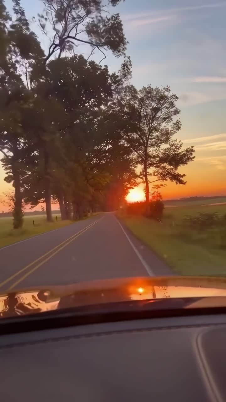 POV-video af en køretur ved solnedgang på en landevej, indrammet af træer, med en varm, fredfyldt stemning