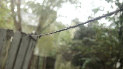 A-long-clothesline-rope-on-a-rainy-day