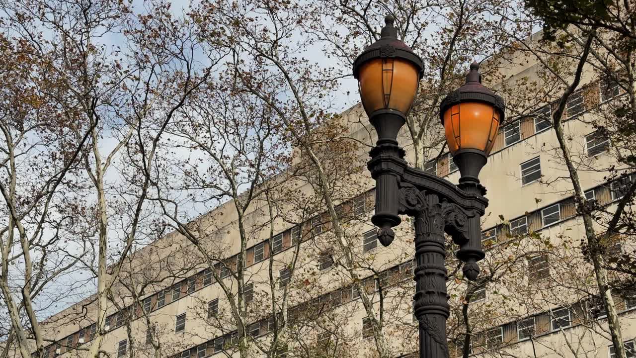 Static low-angle shot of an old Brooklyn streetlamp flickering against a tall building and bare trees