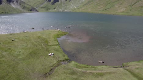 Zenital--Und-Rückwärtsflugzeug-Mit-Drohnenvideo-über-Den-Lake-Verney-Mit-Menschen,-Die-Einen-Schönen-Sonntag-Genießen