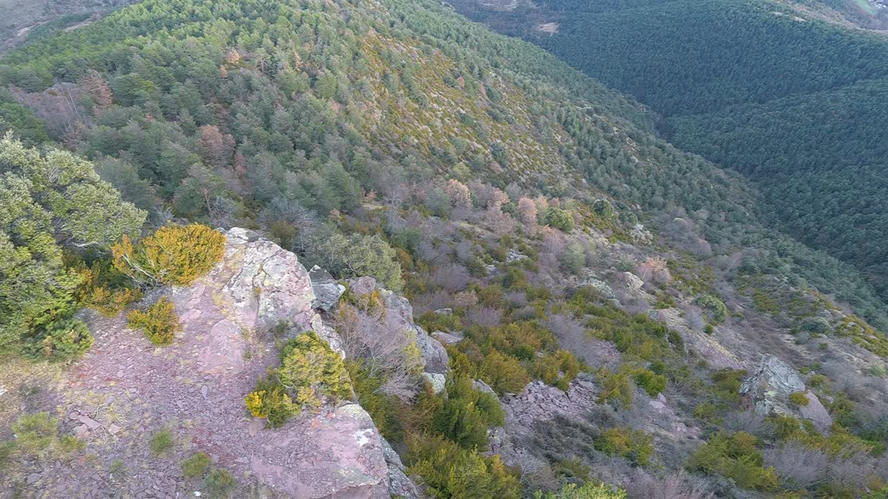 volar sobre las montañas y los árboles de los cerros del cantó