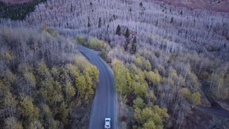 snow-basin-utah-end-of-season-dying-aspen-trees-after-sunset-blue-hour---AERIAL-RAISE-TILT