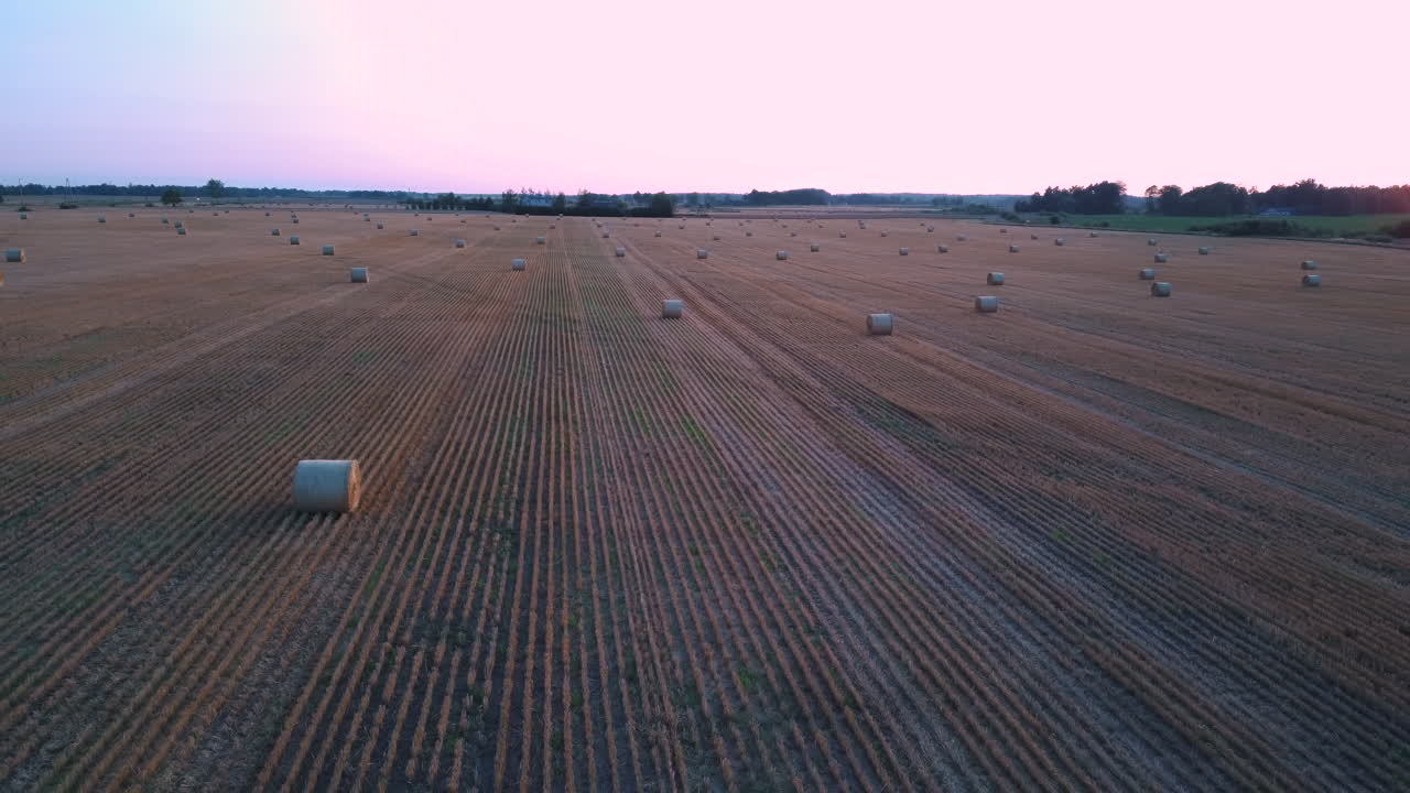 полет над полем с рулонами сена восход солнца