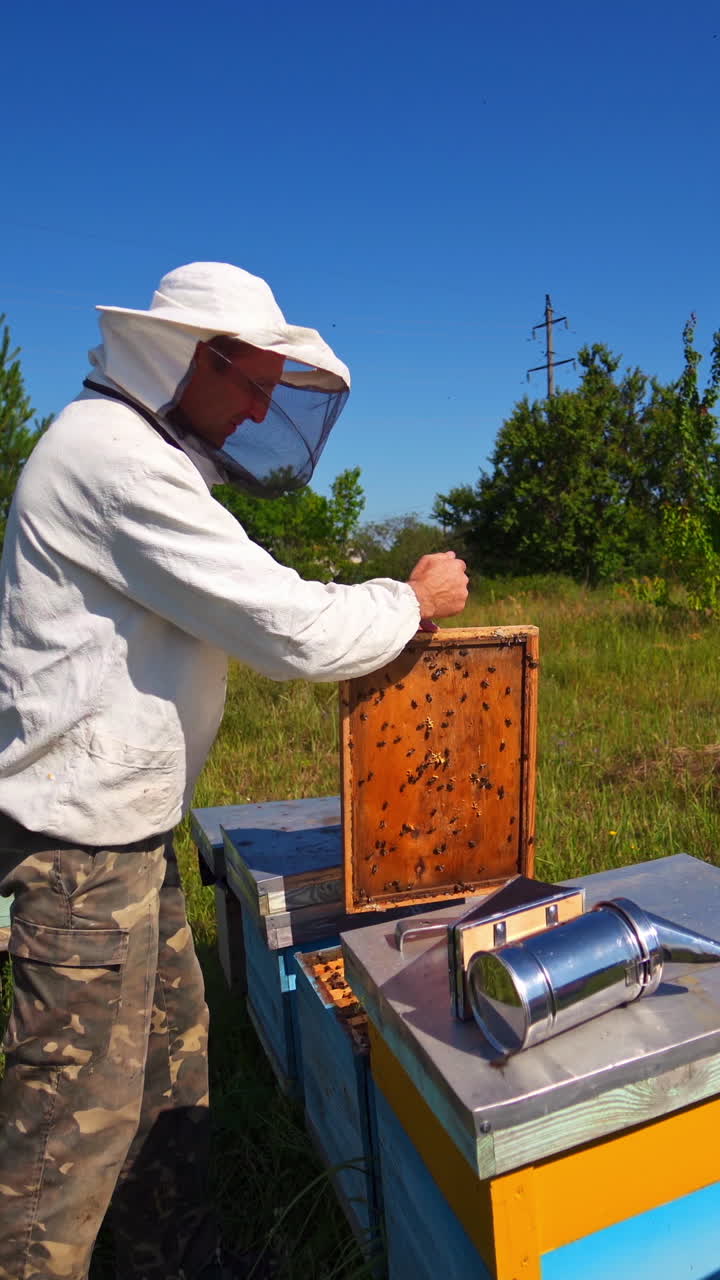 Beekeeper inspects bees. Apiarist on a bee farm on industrial pipes background. Wooden hives on green grass. Vertical video