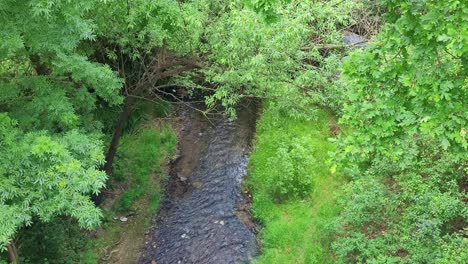 Top-down-view-of-a-river-with-lush,-green-plant-growth-around-it-in-Sofia,-Bulgaria